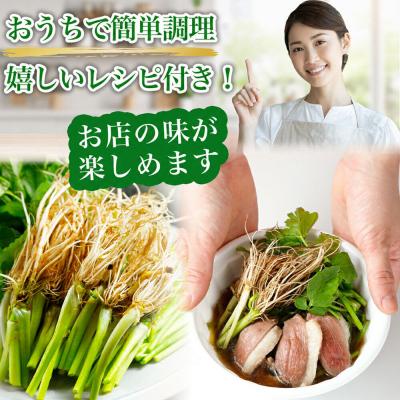 ふるさと納税 名取市 仙台せり鍋セット 野田鴨 漁亭 浜や 野田鴨で食す 2〜3名|21_hmy-160101 |  | 03
