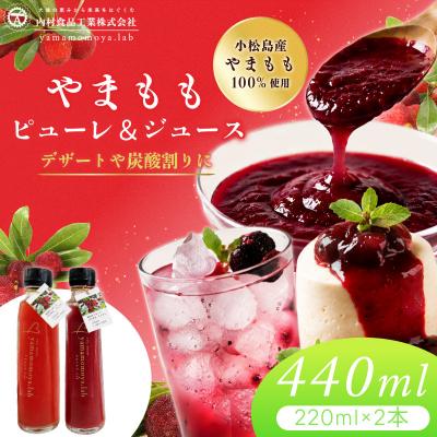 ふるさと納税 小松島市 やまもも ピューレ&amp;ジュース 220ml × 2本セット | ヤマモモ 100%使用