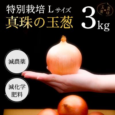 ふるさと納税 岩見沢市 真珠の玉葱 L〜L大サイズ 3kg <海のミネラルで育てた特別栽培玉葱>[a134-009]