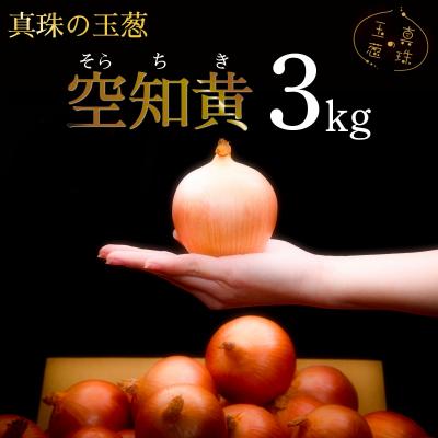 ふるさと納税 岩見沢市 真珠の玉葱 空知黄 3kg <海のミネラルで育てた幻の玉葱 空知黄>[a134-010]