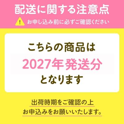 ふるさと納税 福島市 福島のフルーツ4回定期便(桃・梨・シャインマスカット・りんご)【2027年発送】No.3406 |  | 01
