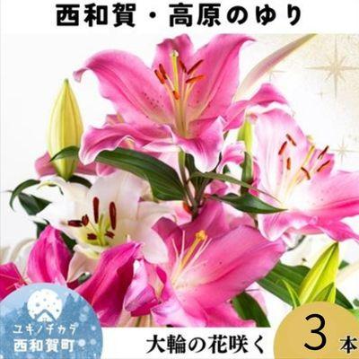 ふるさと納税 西和賀町 <期間限定11月30日迄>高原ふれあい産直 西和賀・高原のユリ 3本