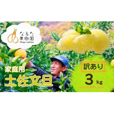 ふるさと納税 黒潮町 成田果樹園の土佐文旦 3kg (M-5L・訳あり) [1919]