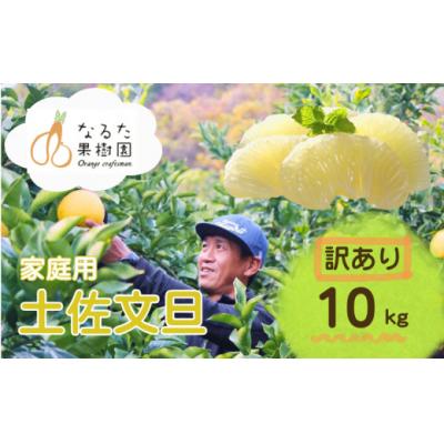 ふるさと納税 黒潮町 成田果樹園の土佐文旦 10kg (M-5L・訳あり) [1688-2-1] | 