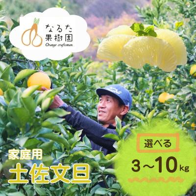 ふるさと納税 黒潮町 成田果樹園の土佐文旦 3kg(L-3L・ご家庭用) [1684-2]