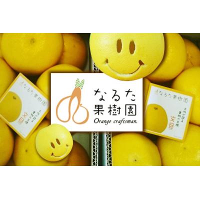 ふるさと納税 黒潮町 成田果樹園の土佐文旦 3kg(L-3L・ご家庭用) [1684-2-1] |  | 01