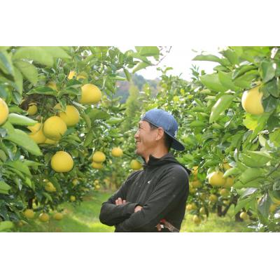 ふるさと納税 黒潮町 成田果樹園の土佐文旦 3kg(L-3L・ご家庭用) [1684-2-1] |  | 02