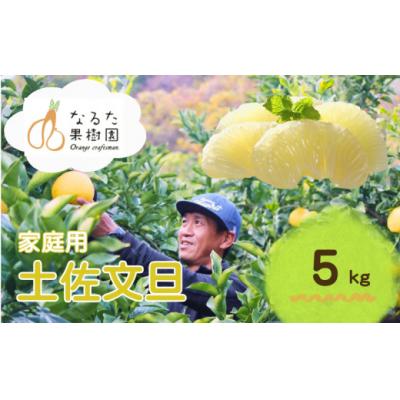 ふるさと納税 黒潮町 成田果樹園の土佐文旦 5kg (大玉 3L-5L・ご家庭用) [1685-2]