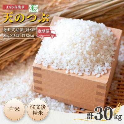 ふるさと納税 南相馬市 8年産先行予約 毎月定期便 天のつぶ 白米 5kg×6回 有機米 根本有機農園 bd005-af