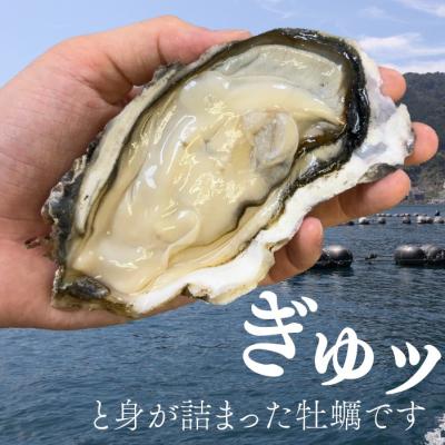 ふるさと納税 岩沼市 殻付き牡蠣 生食可 5kg 南三陸 宮城 女川 岩沼市 |  | 01