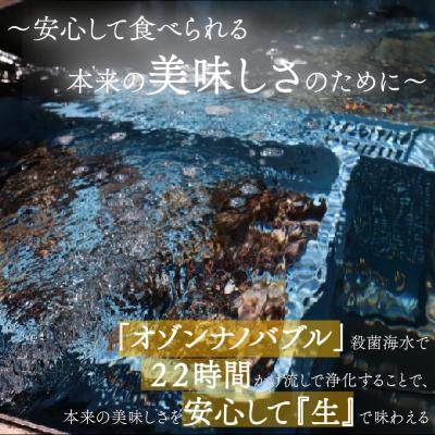 ふるさと納税 岩沼市 殻付き牡蠣 生食可 5kg 南三陸 宮城 女川 岩沼市 |  | 02