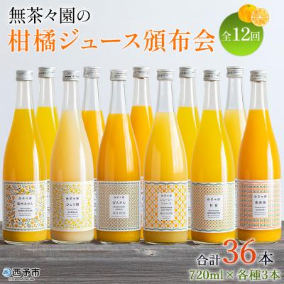 ふるさと納税 西予市 <無茶々園の柑橘ジュース頒布会 全12回> 定期便