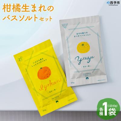 ふるさと納税 西予市 <柑橘生まれのバスソルトセット 2袋>『1か月以内に順次出荷予定』