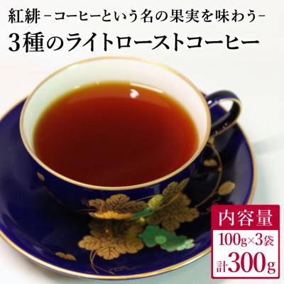 ふるさと納税 関市 ライトローストコーヒー3種セット コーヒー豆 各100g<粉にもできます>珈琲 コーヒー 飲み比べ