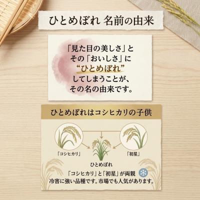 ふるさと納税 陸前高田市 お米食べ比べセット ミルキークイーン ひとめぼれ 各5kg 令和8年度 新米 米 及川産業 |  | 02