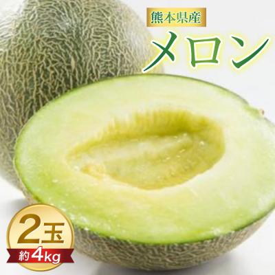 ふるさと納税 八代市 【先行予約】 熊本県 八代市産 肥後グリーン 約4kg (2玉入)_191-4400-D | 