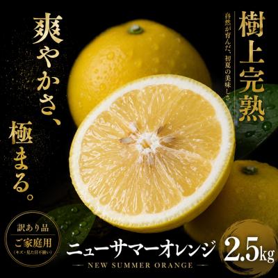 ふるさと納税 西予市 <涼やかな柑橘 愛媛県産ニューサマーオレンジ 合計約2.5kg> 訳あり ミカン 蜜柑 ご家庭用
