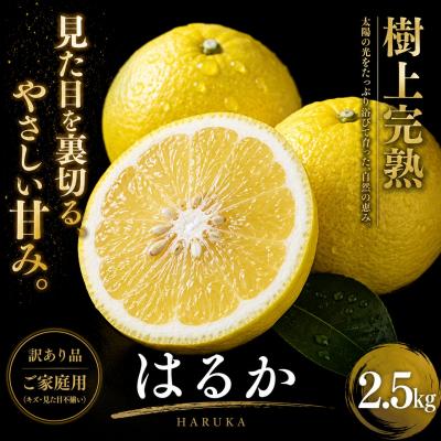 ふるさと納税 西予市 <上品な甘さ 愛媛県産はるか 合計約2.5kg>蜜柑 希少 ご家庭用 果汁