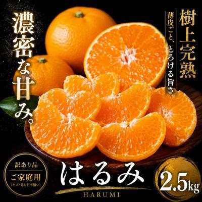 ふるさと納税 西予市 <果粒の旨み 愛媛県産はるみ 合計約2.5kg>濃厚 ぷちぷち食感 ミカン 蜜柑 ご家庭用
