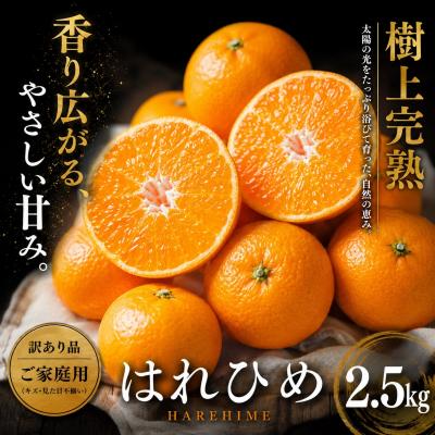 ふるさと納税 西予市 <芳醇な香り 愛媛県産はれひめ 合計約2.5kg>ミカン 蜜柑 ご家庭用