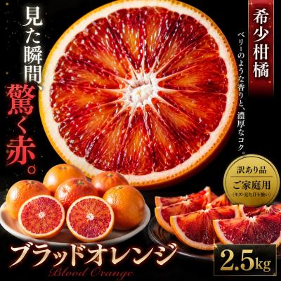 ふるさと納税 西予市 <深紅の一果 愛媛県産ブラッドオレンジ 合計約2.5kg>訳あり ミカン 蜜柑 ご家庭用