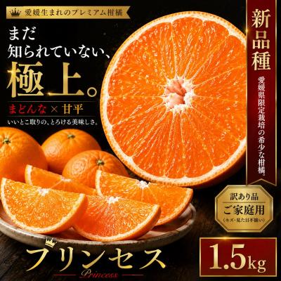 ふるさと納税 西予市 <極少量品種 愛媛県産プリンセス 合計約1.5kg>蜜柑 ご家庭用 果汁
