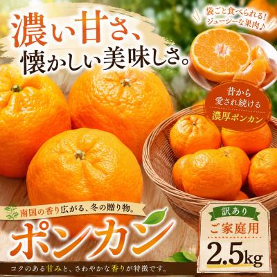 ふるさと納税 西予市 <濃厚な甘み 愛媛県産ポンカン 合計約2.5kg>ミカン 蜜柑 ご家庭用