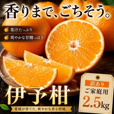 ふるさと納税 西予市 <香り立つ果実 愛媛県産伊予柑 合計約2.5kg>ミカン 蜜柑 ご家庭用