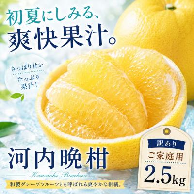 ふるさと納税 西予市 <涼果の旨み 愛媛県産河内晩柑 合計約2.5kg>爽やか ミカン 蜜柑 ご家庭用