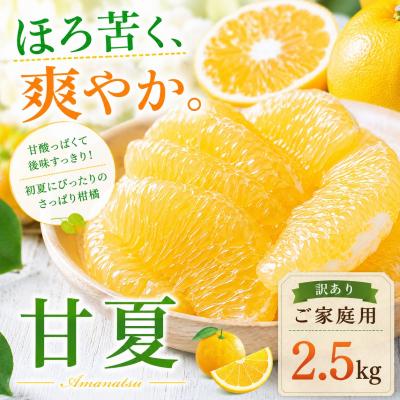 ふるさと納税 西予市 <涼果の旨み 愛媛県産甘夏 合計約2.5kg> 爽やか ミカン 蜜柑 ご家庭用