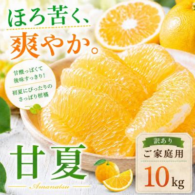 ふるさと納税 西予市 <涼果の旨み 愛媛県産甘夏 合計約10kg>爽やか ミカン 蜜柑 ご家庭用