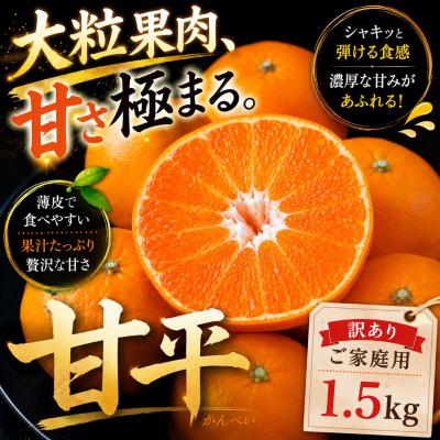 ふるさと納税 西予市 <濃密な甘み 愛媛県産甘平 合計約1.5kg> ミカン 蜜柑 ご家庭用