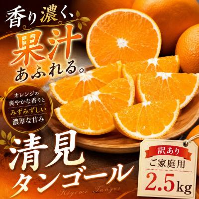 ふるさと納税 西予市 <果汁の余韻 愛媛県産清見タンゴール 合計約2.5kg>ミカン 蜜柑 ご家庭用