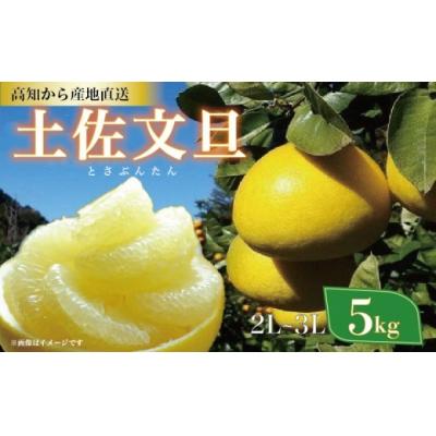 ふるさと納税 黒潮町 土佐文旦 5kg 2L-3Lサイズ(ご家庭用) 植田農園 [1535-4] |  | 01