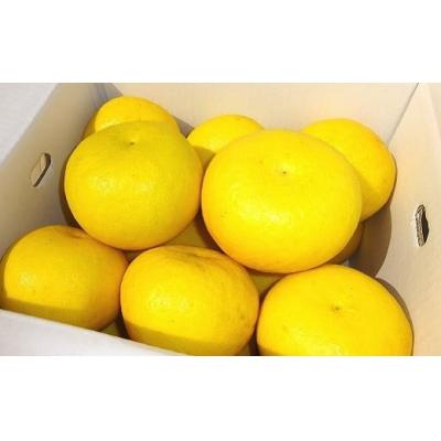 ふるさと納税 黒潮町 土佐文旦 5kg 2L-3Lサイズ(ご家庭用) 植田農園 [1535-4] |  | 03