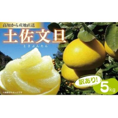 ふるさと納税 黒潮町 訳あり 土佐文旦 5kg サイズ混合(ご家庭用) 植田農園 [1914] |  | 01