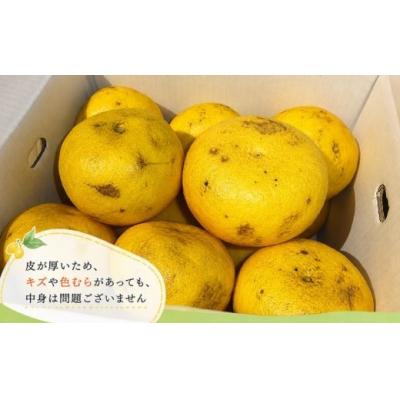 ふるさと納税 黒潮町 訳あり 土佐文旦 5kg サイズ混合(ご家庭用) 植田農園 [1914] |  | 02