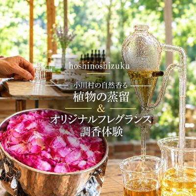 ふるさと納税 小川村 小川村の自然香る 植物の蒸留&amp;オリジナルフレグランス調香体験(5名様分)*284