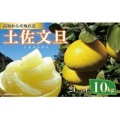 ふるさと納税 黒潮町 土佐文旦 10kg 2L-3Lサイズ(ご家庭用) 植田農園 [1537-4] | 