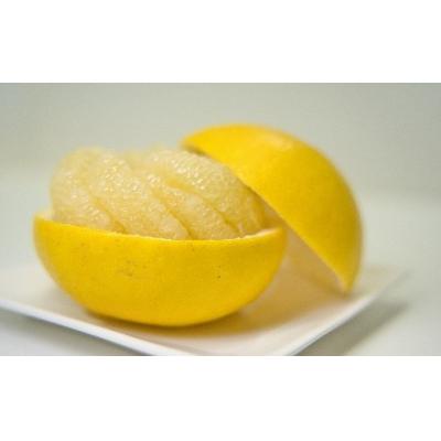 ふるさと納税 黒潮町 土佐文旦 10kg 2L-3Lサイズ(ご家庭用) 植田農園 [1537-4] |  | 03
