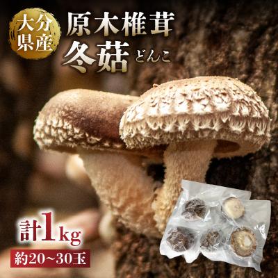 ふるさと納税 大分市 冷凍 原木しいたけ(冬〓)1kg_F07040 | 