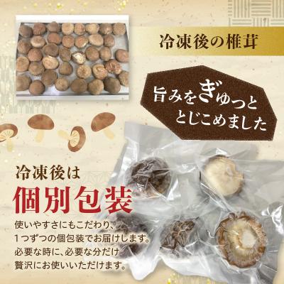 ふるさと納税 大分市 冷凍 原木しいたけ(冬〓)1kg_F07040 |  | 01