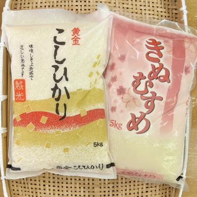 ふるさと納税 出雲市 [ふるさと納税]お米 令和8年産 出雲コシヒカリ5kgと出雲きぬむすめ5kg