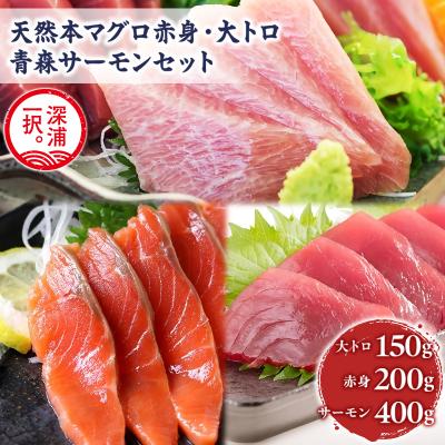 ふるさと納税 深浦町 青森サーモン&amp;天然本マグロ 深浦マグロ 赤身 大トロ セット 計750g