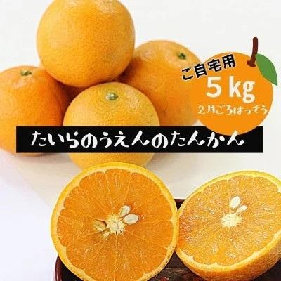 ふるさと納税 伊仙町 <2027年2月より順次発送> 平農園のたんかん <ご自宅用>約5kg