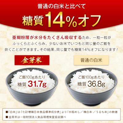 ふるさと納税 西都市 6回定期便『金芽米』無洗米宮崎県産ヒノヒカリ5kg　令和8年産[3352] |  | 03