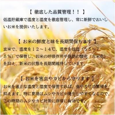 ふるさと納税 舟形町 【令和8年産】無洗米 つや姫10kg(5kg×2袋) |  | 02
