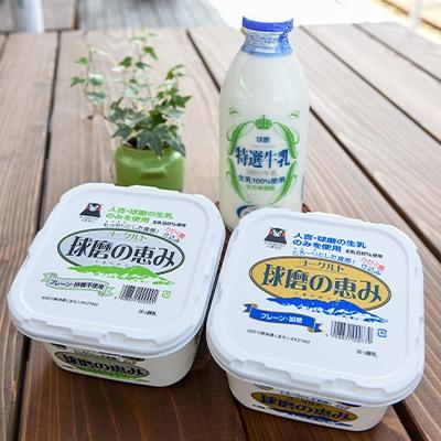 ふるさと納税 湯前町 [毎月定期便]球磨酪農おすすめセットA(瓶牛乳&amp;ヨーグルト加糖・砂糖不使用) 全3回