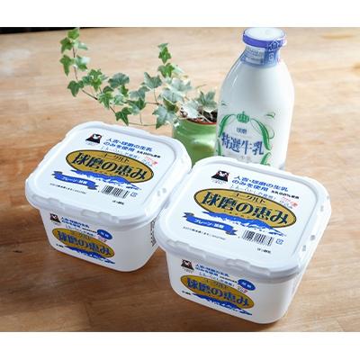 ふるさと納税 湯前町 [毎月定期便]球磨酪農おすすめセットB(瓶牛乳&amp;ヨーグルト加糖×2個)全3回