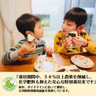 ふるさと納税 能美市 【毎月定期便】【日本農業賞大賞】厳選プレミアム米4.5kg精白米(特別栽培米コシヒカリ)全3回_2
